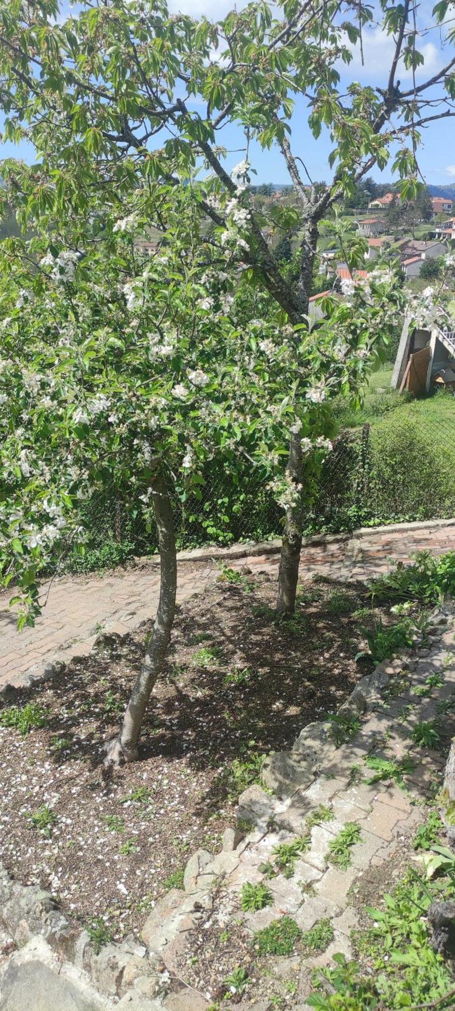 Monistrol-sur-Loire La Petite Maison D'Hose מראה חיצוני תמונה